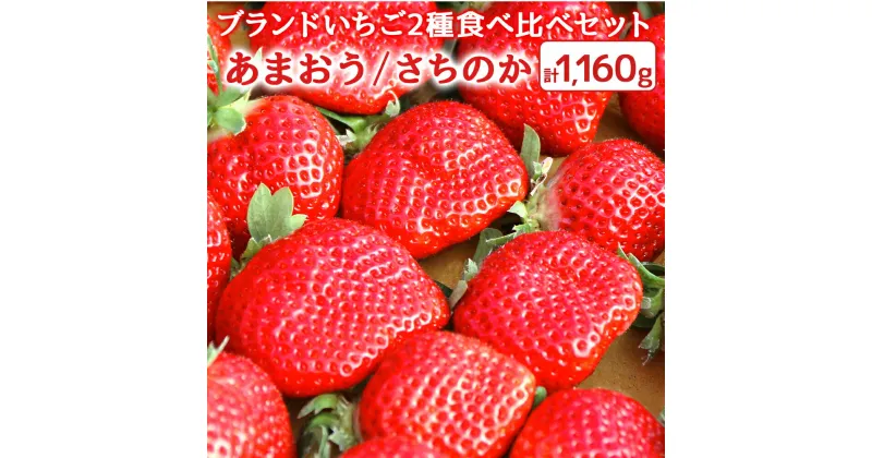 【ふるさと納税】ブランドいちご 2種 食べ比べセット あまおう さちのか 各2パック 計1,160g イチゴ フルーツ 果物 くだもの おやつ デザート 冷蔵 送料無料 【2025年1月より順次発送】［F0073］