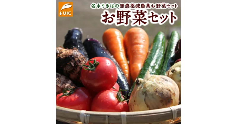 【ふるさと納税】UIC 名水うきはの無農薬減農薬お野菜セット