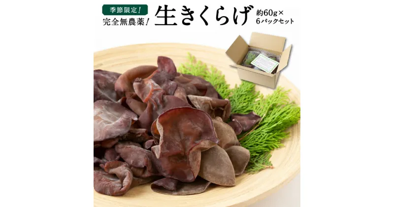 【ふるさと納税】 【先行予約】UIC 季節限定！完全無農薬！生きくらげ (約60g×6パックセット) 2025年5月から7月 出荷予定