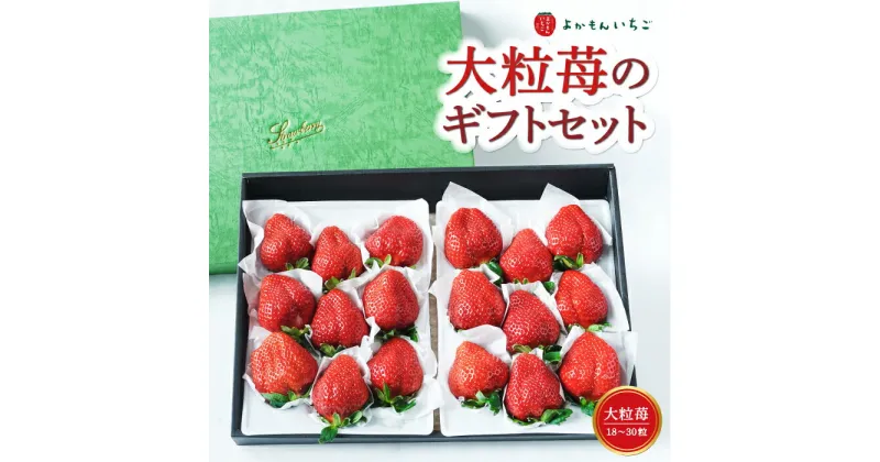 【ふるさと納税】 よかもんいちご 大粒苺のギフトセットB 2024年12月から2025年4月お届け