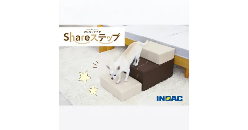 【ふるさと納税】九州イノアック あにまるシリーズ Shareステップ