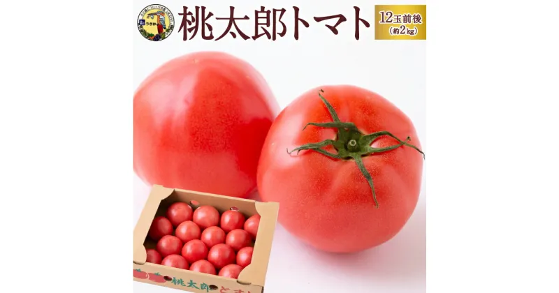 【ふるさと納税】 道の駅うきは 桃太郎トマト 12玉前後 (約2kg) 2024年12月上旬から2025年5月下旬 出荷予定