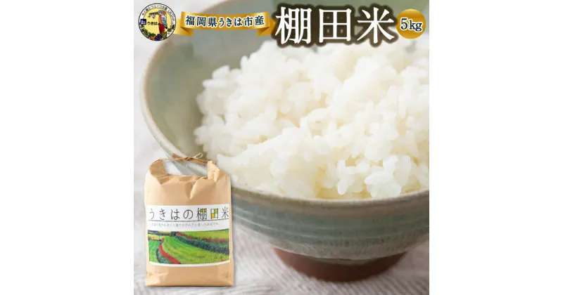 【ふるさと納税】 道の駅うきは 棚田米 (白米) 5kg 2024年9月下旬から2025年5月 出荷予定