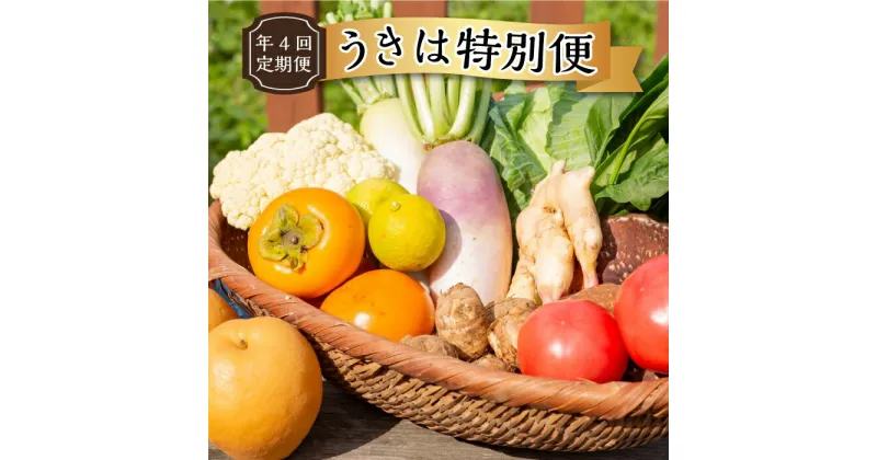 【ふるさと納税】【年4回定期便】うきは特別便 季節の特産品詰め合わせ 各2kg×4回 (1月・6月・8月・11月) お届け