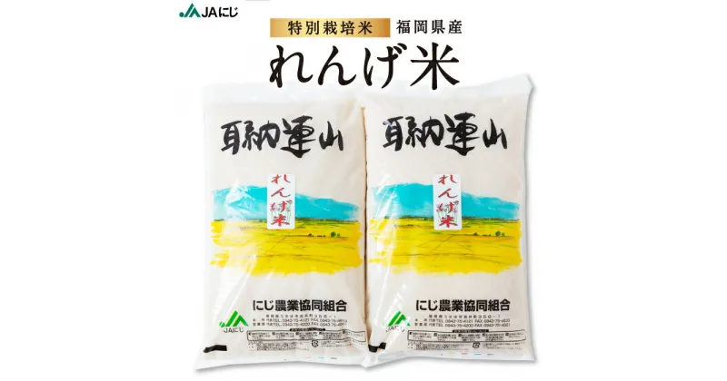 【ふるさと納税】JAにじ 特別栽培米「れんげ米」白米10kg・20kg 2024年12月上旬より順次出荷予定