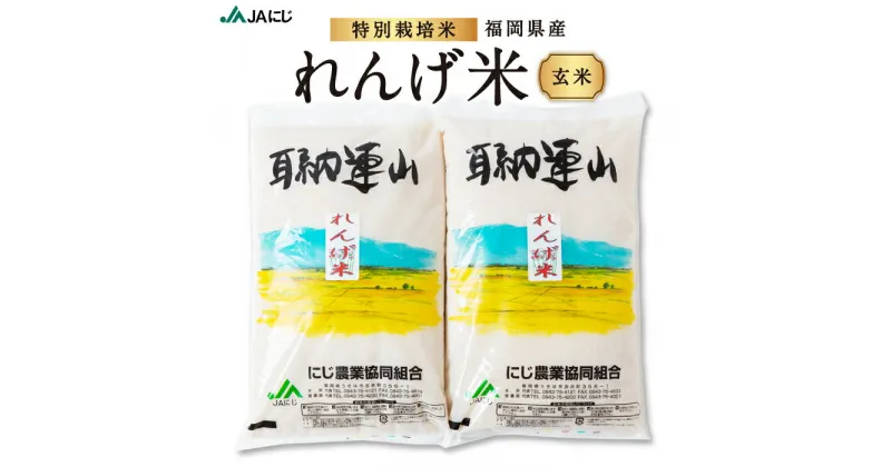 【ふるさと納税】JAにじ 特別栽培米「れんげ米」玄米10kg・20kg 2024年12月上旬より順次出荷予定