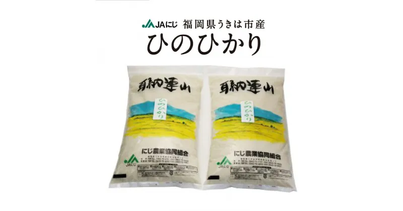 【ふるさと納税】JAにじ ひのひかり 白米 10kg・20kg 2024年12月上旬より順次出荷予定