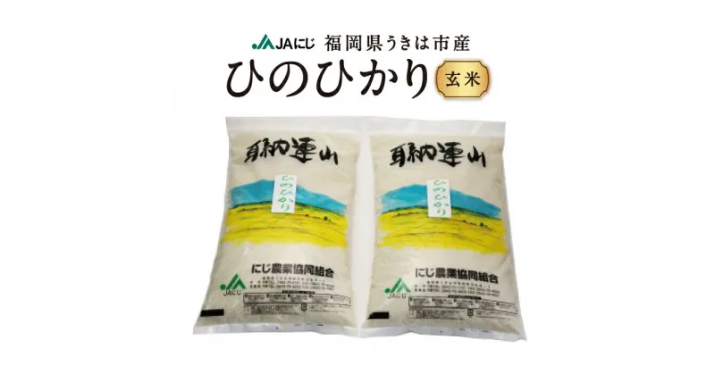 【ふるさと納税】JAにじ ひのひかり 玄米 10kg・20kg 2024年12月上旬より順次出荷予定