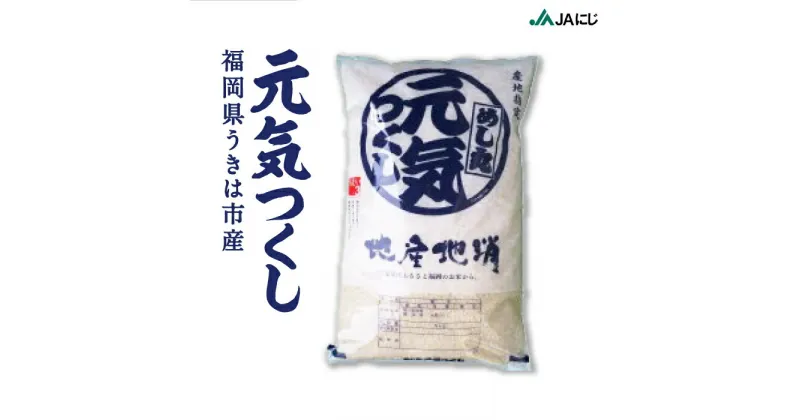 【ふるさと納税】JAにじ 元気つくし 白米10kg・20kg 2024年12月上旬より順次出荷予定