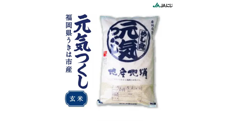 【ふるさと納税】JAにじ 元気つくし 玄米 10kg・20kg 2024年12月上旬より順次出荷予定