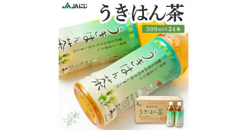 【ふるさと納税】JAにじ うきはん茶 500ml×24本