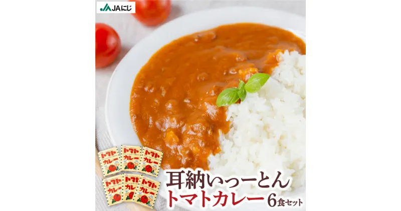 【ふるさと納税】JAにじ 耳納いっーとんトマトカレー 6食セット レトルトカレー・オリジナルカレー・ポークカレー