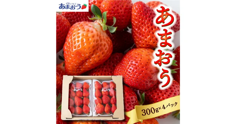 【ふるさと納税】 千年いちご あまおうイチゴ (300g×4パック) 2024年12月から2025年3月お届け