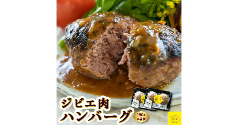 【ふるさと納税】【ジビエ】肉汁溢れるジビエ肉ハンバーグ 180g×4個