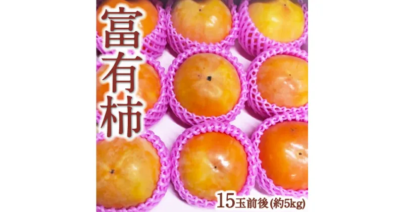 【ふるさと納税】うえ村フルーツ 富有柿 15玉前後 (約5kg) 2024年11月中旬頃 出荷予定