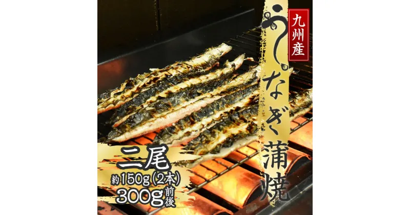 【ふるさと納税】国産 うなぎ 鰻 ウナギ 蒲焼き 蒲焼 約150g×2尾 真空 高級 宮若市 M685