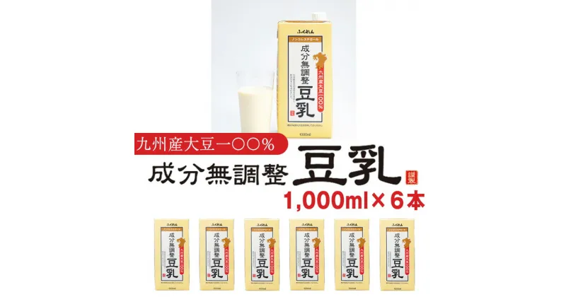 【ふるさと納税】豆乳 九州産大豆 大豆100％ 無調整 ふくれん 1000ml 6本 計6L 紙パック 無調整豆乳 乳飲料 ドリンク 国産大豆 送料無料 M684