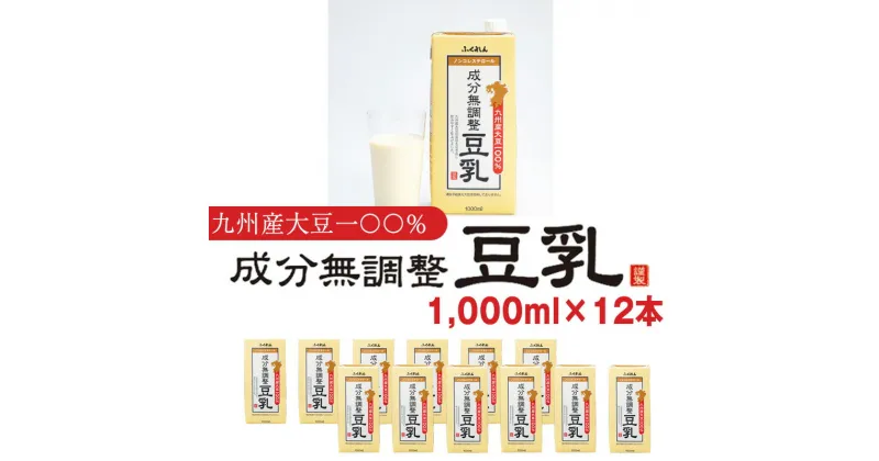 【ふるさと納税】豆乳 九州産 大豆100％ 無調整 ふくれん 1000ml 12本 計12L 紙パック 無調整豆乳 乳飲料 ドリンク 国産大豆 送料無料