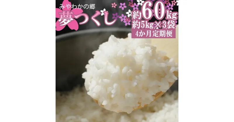 【ふるさと納税】米 ご飯 白米 精米 新米【令和6年産】 【4か月連続定期便】宮若産 夢つくし 合計60kg 15kg（5kg×3袋）×4回 1俵分 ごはん 福岡県 宮若市 国産 九州 送料無料 M448T-1