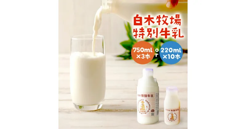 【ふるさと納税】数量限定 白木牧場 特別牛乳 200ml×10本/750ml×3本 選べる内容量 無殺菌 低温殺菌牛乳 ジャージー牛乳 牛乳 ミルク 福岡県産 九州産 冷蔵 送料無料