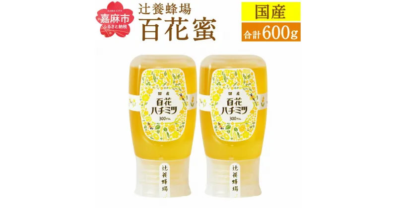 【ふるさと納税】辻養蜂場株式会社 百花蜜 300g×2本 合計600g 国産 九州産 天然蜂蜜 蜂蜜 はちみつ ハニー チューブタイプ 送料無料