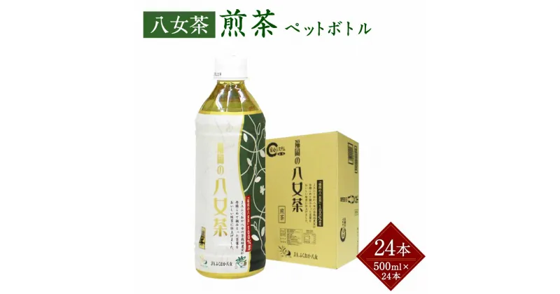 【ふるさと納税】八女茶 煎茶 ペットボトル 500ml×24本 1箱 1ケース 福岡県 八女市 星野村産 お茶 緑茶 茶葉 日本茶 せんちゃ 送料無料