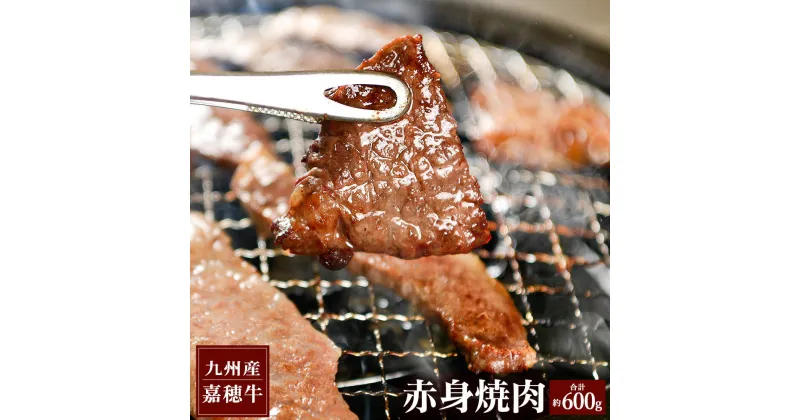 【ふるさと納税】嘉穂牛 赤身焼肉 約600g 国産 九州産 牛肉 冷蔵 焼き肉 BBQ 送料無料