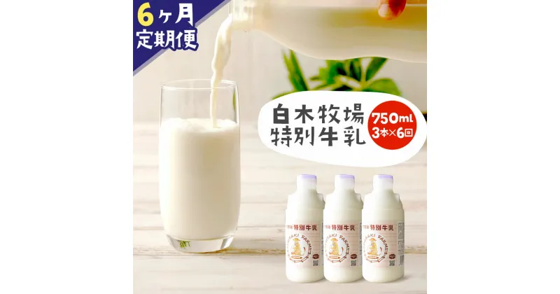 【ふるさと納税】【6ヶ月定期便】数量限定 白木牧場 特別牛乳 750ml×3本×6回 無殺菌 低温殺菌牛乳 ジャージー牛乳 牛乳 ミルク 福岡県産 九州産 冷蔵 送料無料