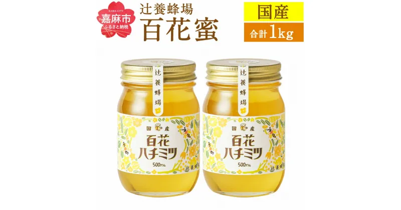 【ふるさと納税】辻養蜂場株式会社 百花蜜 500g×2個セット 合計 1kg はちみつ 蜂蜜 国産 九州産 瓶 送料無料