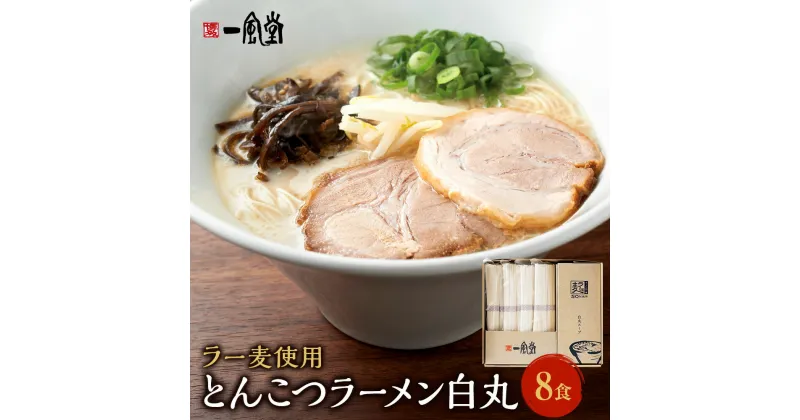 【ふるさと納税】ラー麦使用「一風堂」とんこつラーメン 白丸 8食 ラーメン とんこつ 豚骨 トンコツ 麺 細麺 博多ラーメン 福岡県 嘉麻市 送料無料