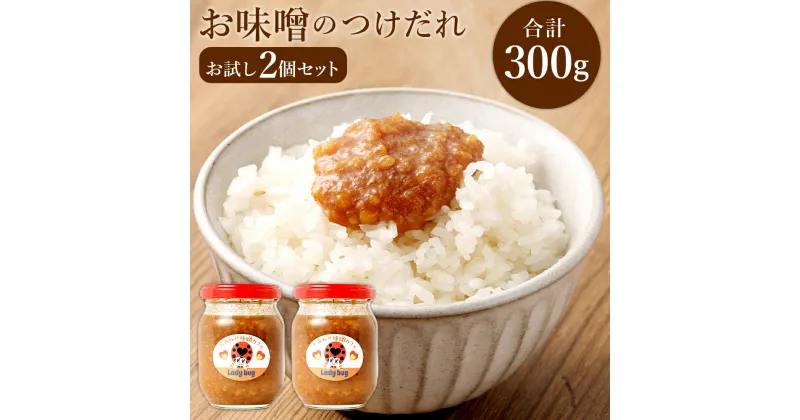 【ふるさと納税】お味噌のつけだれ お試し2個セット 150g×2 計300g 無添加 つけだれ 万能味噌 調味料 醗酵 大豆 味噌 みそ ミソ 漬け込み肉 福岡県産 九州産 国産 冷蔵 送料無料