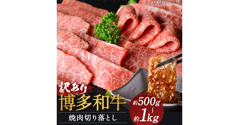 【ふるさと納税】訳あり 博多和牛 焼肉切り落とし 約500g/約1kg 選べる内容量 牛肩ロース又はバラ お肉 和牛 焼き肉 ご家庭用 冷凍 福岡県産 九州産 国産 送料無料