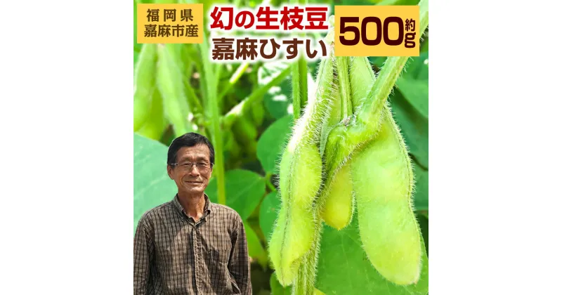 【ふるさと納税】希少な嘉麻ひすい 根付き 枝付き 生枝豆 約500g 福岡県 嘉麻市産 青大豆 キヨミドリ 年に1度 えだまめ えだ豆 おつまみ 冷蔵便 クール便 【2025年10月上旬～10月下旬に順次発送予定】