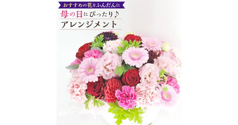 【ふるさと納税】【先行予約】カーネーション バラ アレンジメント 母の日 超豪華おすすめの花をふんだんに使った母の日ギフト用アレンジメント ギフト 生花 事前予約 送料無料【2025年5月7日～9日の間に順次発送予定】