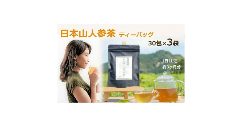 【ふるさと納税】★希少★日本山人参茶30包入り×3袋　飲料類・お茶・野菜/人参