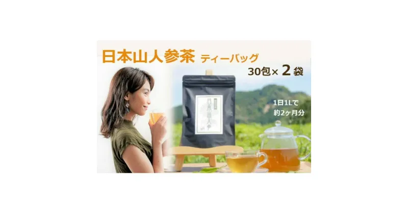 【ふるさと納税】★希少★日本山人参茶30包入り×2袋　飲料類・お茶・野菜/人参