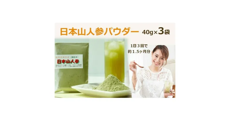 【ふるさと納税】★希少★日本山人参パウダー40g×3袋　飲料類・お茶・野菜/人参