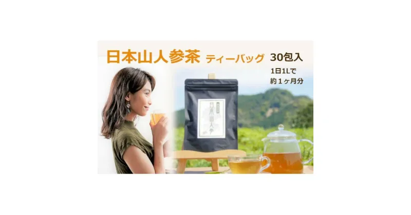 【ふるさと納税】★希少★日本山人参茶（ティーパック）　飲料類・お茶・野菜/人参