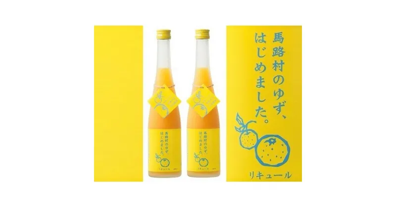 【ふるさと納税】ゆず梅酒　500ml×2本　＜篠崎＞　お酒・洋酒・リキュール類