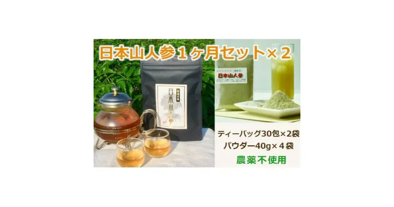 【ふるさと納税】★希少★日本山人参で夫婦で健康に！1か月分セット×2　飲料類・お茶・野菜/人参