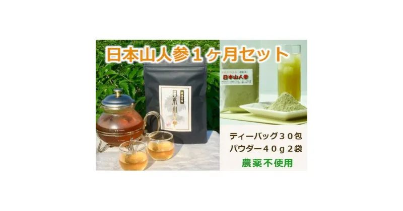 【ふるさと納税】★希少★日本山人参で健康に！1か月分セット！　飲料類・お茶・野菜/人参