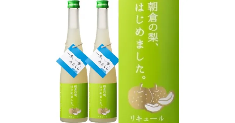 【ふるさと納税】梨梅酒 500ml×2本　お酒・梨・ナシ・果物・フルーツ