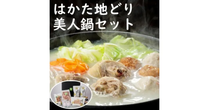 【ふるさと納税】はかた地どり美人鍋セット　鍋セット水炊き・鶏肉水炊き