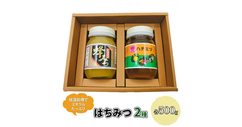 【ふるさと納税】はちみつ セット 各500g×2個 レンゲブレンド 野山のハチミツ 詰め合わせ 食べ比べ 蜂蜜 ハチミツ　朝倉市