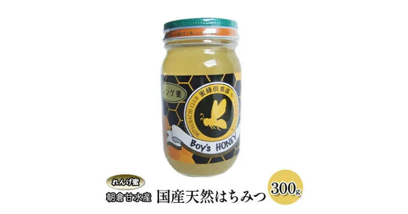 【ふるさと納税】はちみつ 国産 天然蜂蜜 れんげ 蜜 300g 朝倉市 甘水産 蜂蜜　蜂蜜・はちみつ