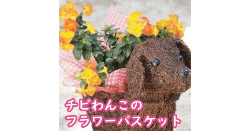 【ふるさと納税】チビわんこのフラワーバスケット（1匹）　植物