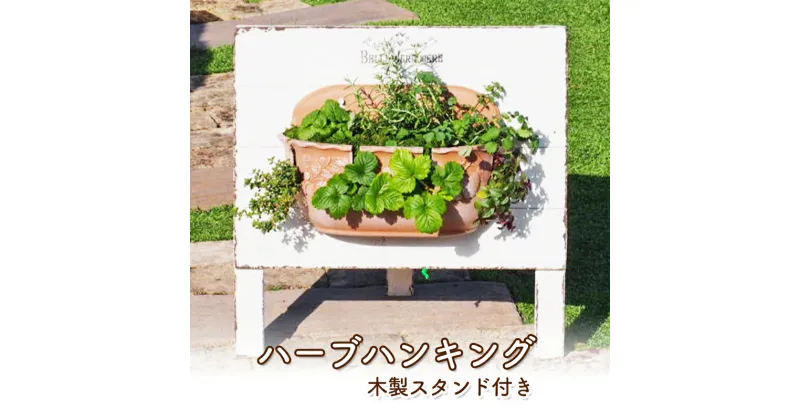 【ふるさと納税】植物 ハーブのハンキング 木製スタンド付き ハーブ インテリア ガーデン　朝倉市