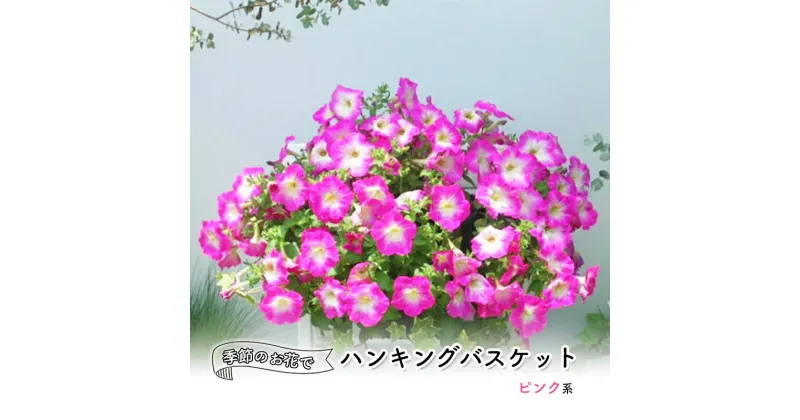 【ふるさと納税】花 季節のお花でハンキングバスケット ピンク系 植物 ガーデニング ガーデン インテリア　朝倉市