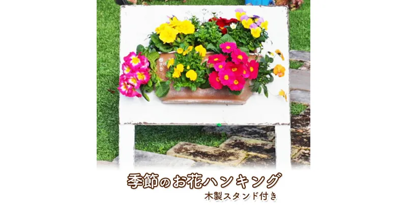 【ふるさと納税】植物 季節のお花のハンキング 木製スタンド付き 花 インテリア ガーデン　朝倉市