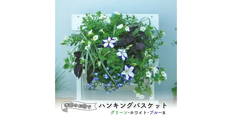 【ふるさと納税】花 季節のお花でハンキングバスケット グリーン・ホワイト・ブルー系 植物 ガーデニング ガーデン インテリア　朝倉市